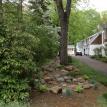 Rain Garden